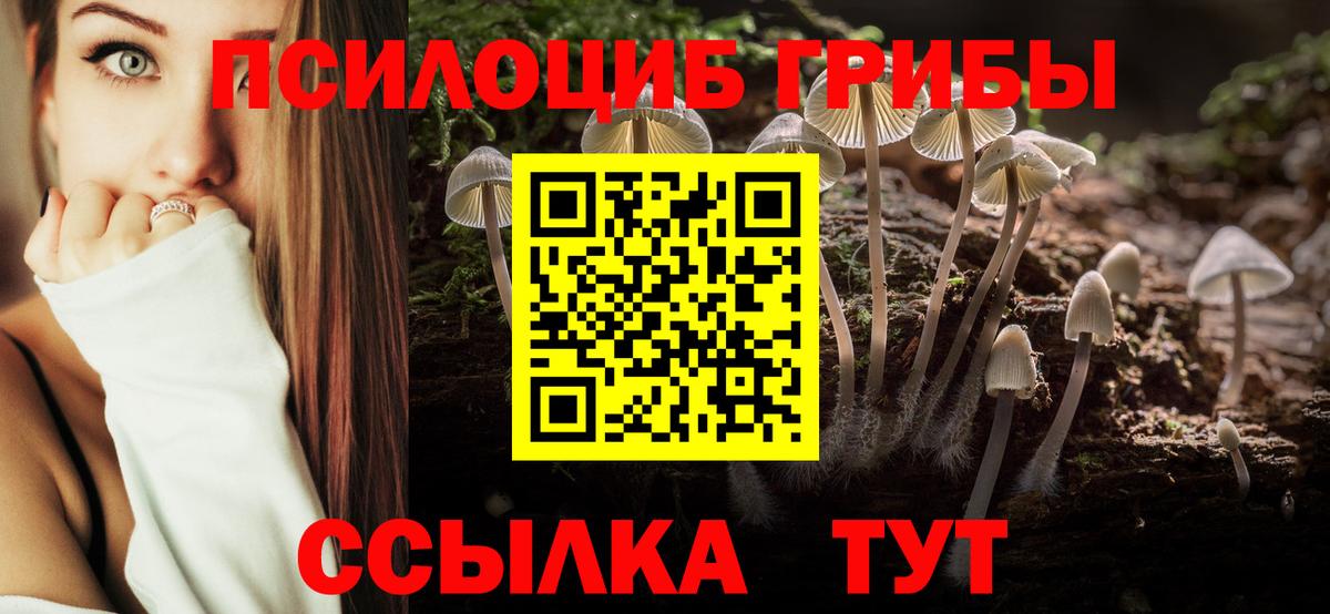 Ирбит  Псилоцибиновые грибы GOLDEN TEACHER  цена наркотик  Псилоцибиновые грибы ЛСД  Вход с VPN 
